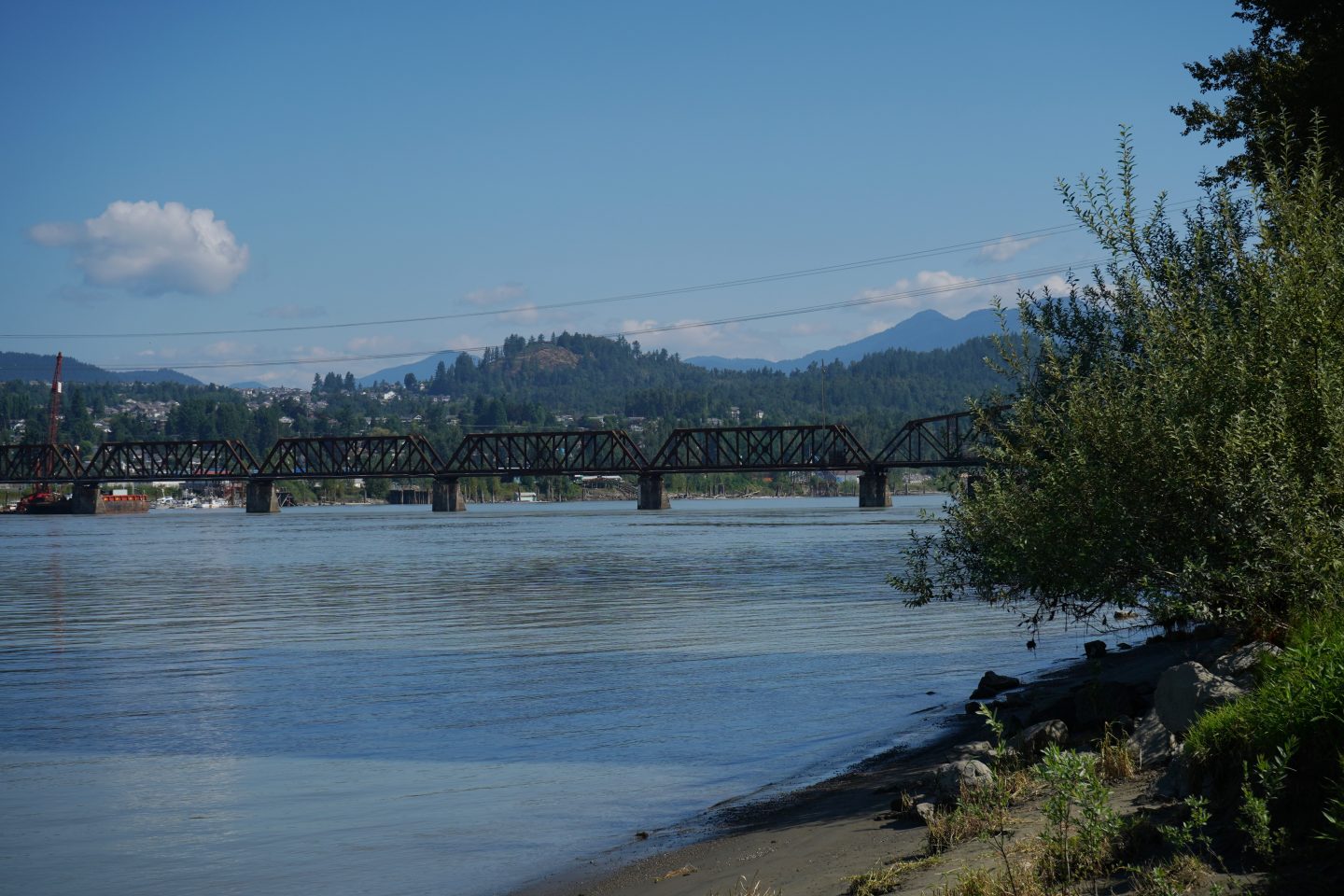 Fraser Valley - The BC Bird Trail - Look Up, Stay Grounded