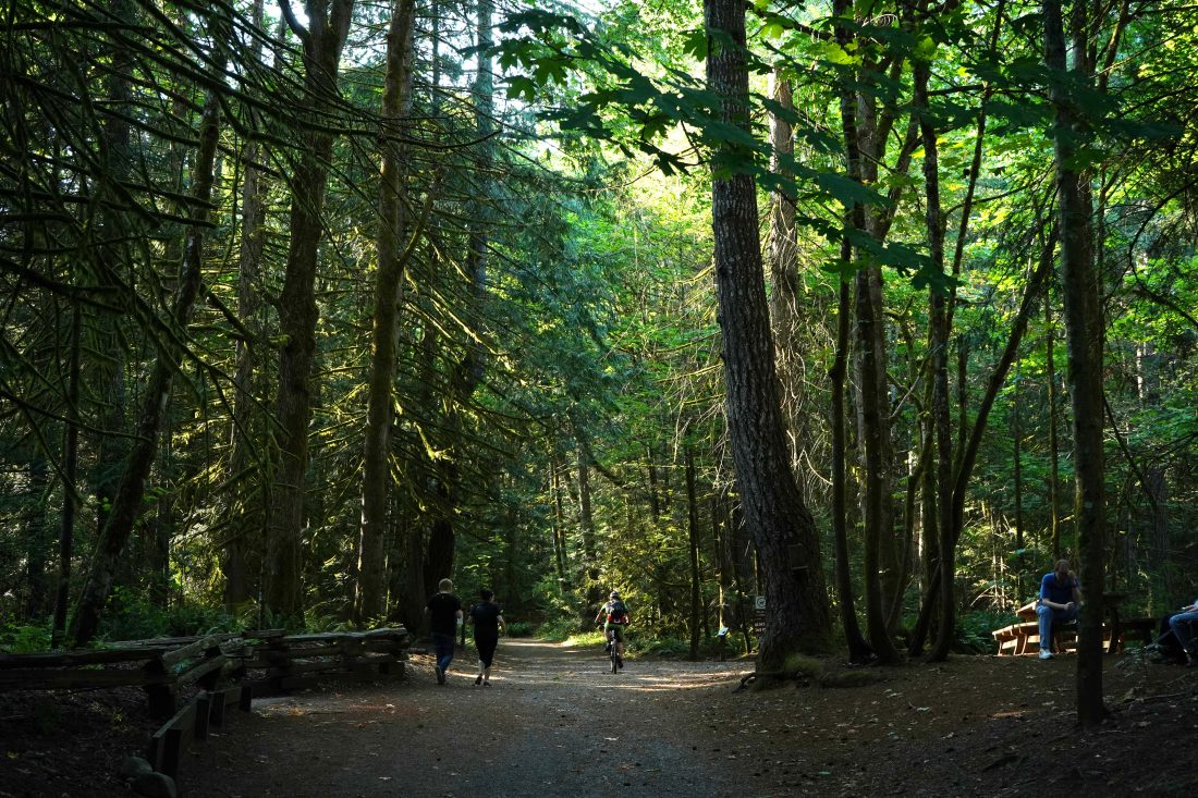 Morrell Nature Sanctuary - Nanaimo - Central Vancouver Island - BC Bird Trail