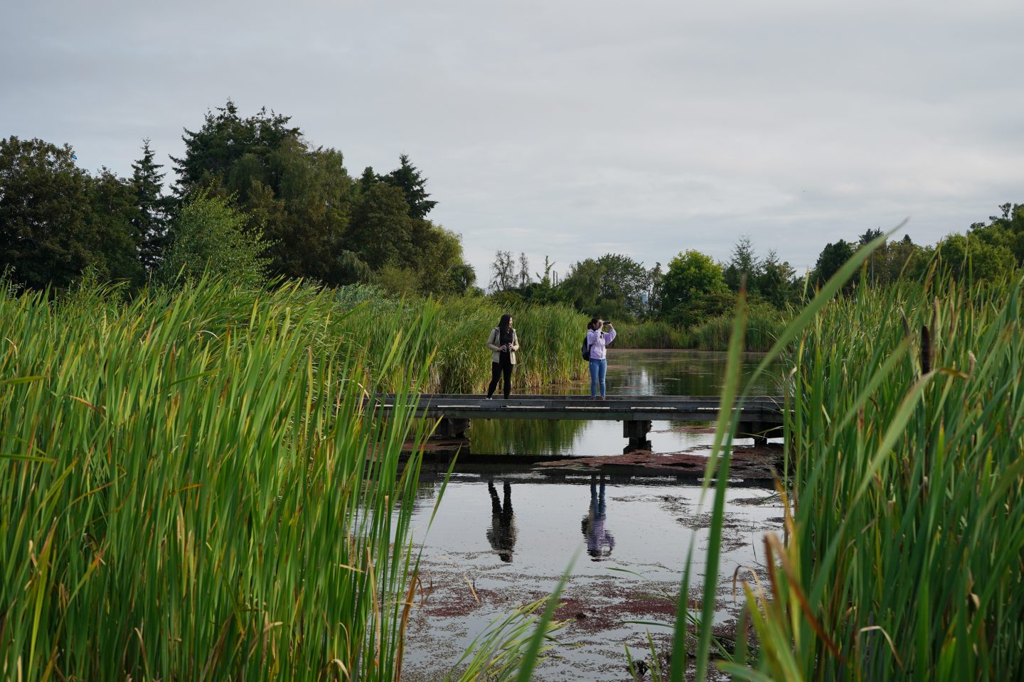 Terra Nova Rural Park - Richmond - BC Bird Trail