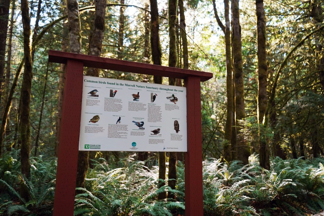 Morrell Nature Sanctuary - Nanaimo - Central Vancouver Island - BC Bird Trail