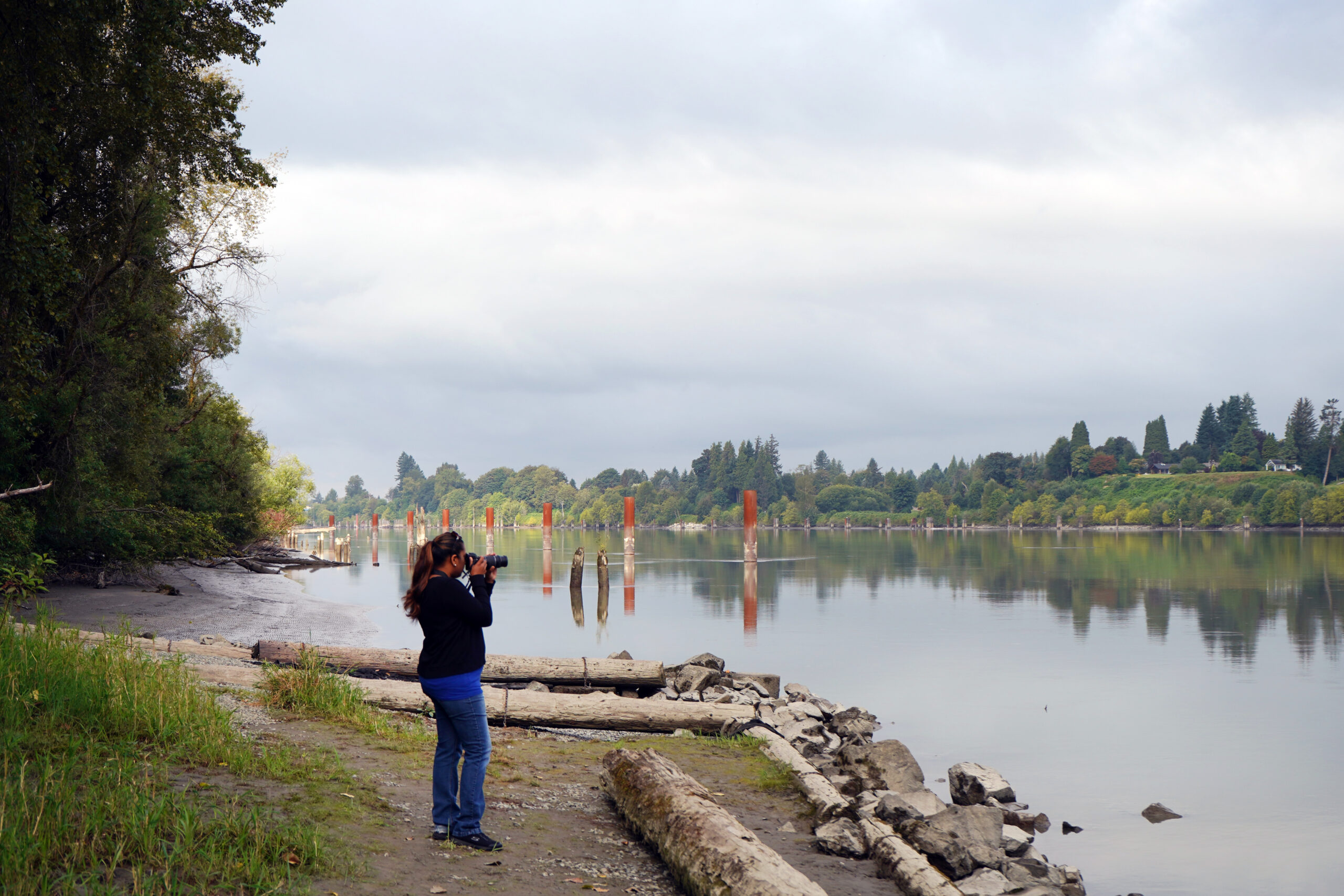 Langley - The BC Bird Trail - Look Up, Stay Grounded