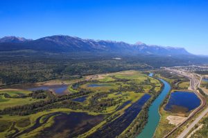 The Columbia River Wetlands in Golden, BC by Mitch Winton - BC Bird Trail - Destination BC