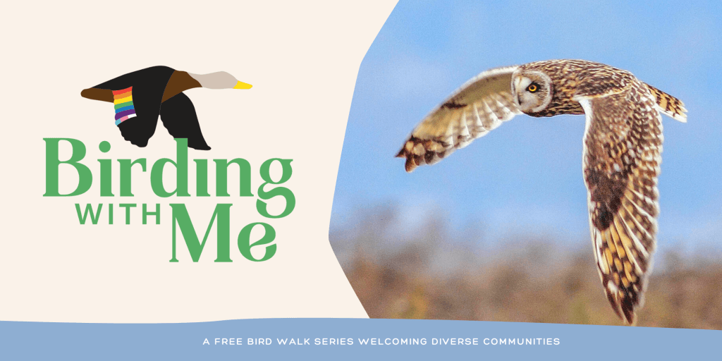 Header image with the Birding With Me logo and a photo of an owl in flight.