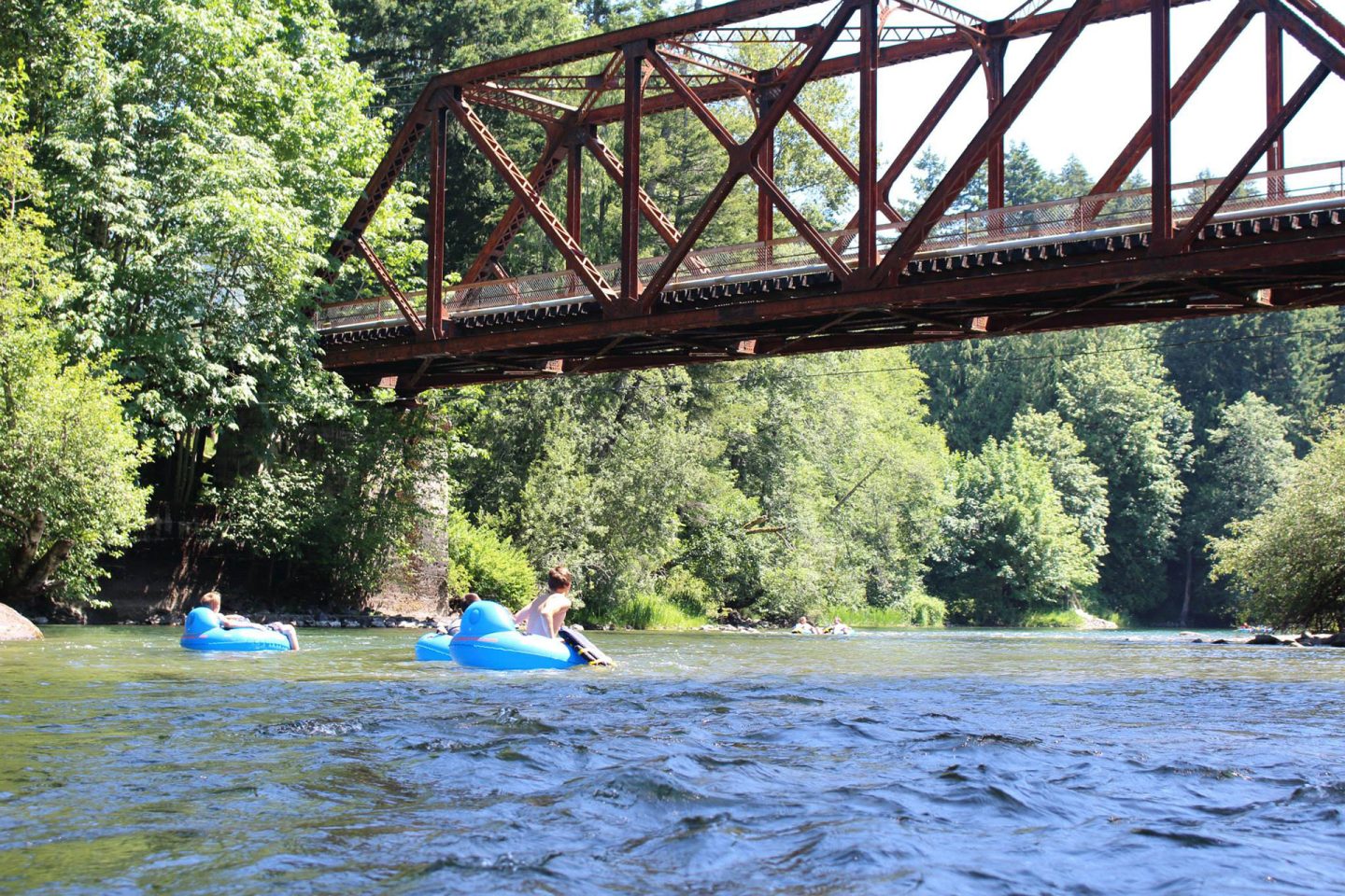 Tubing down the Cowichan River with ORKA - The BC Bird Trail