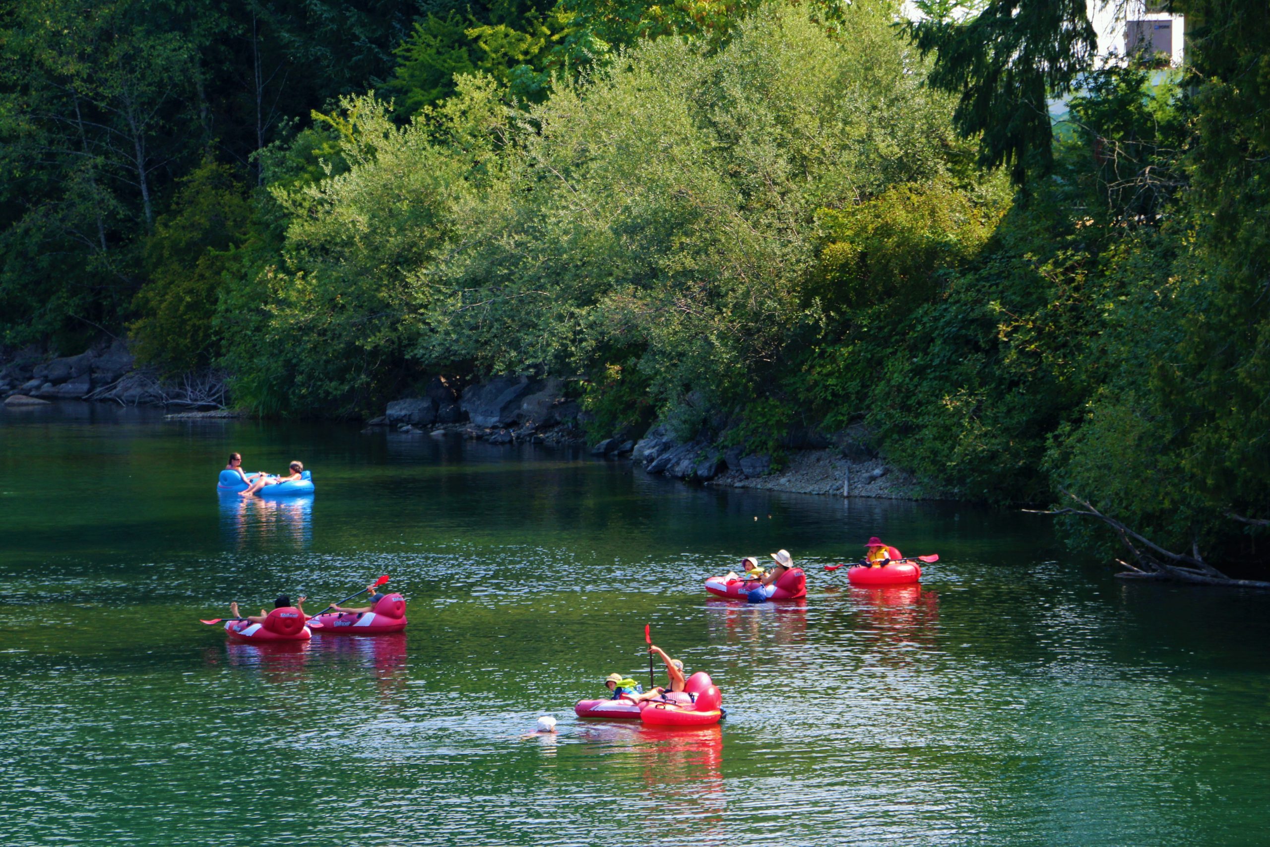 Tubing down the Cowichan River with The Tube Shack - The BC Bird Trail