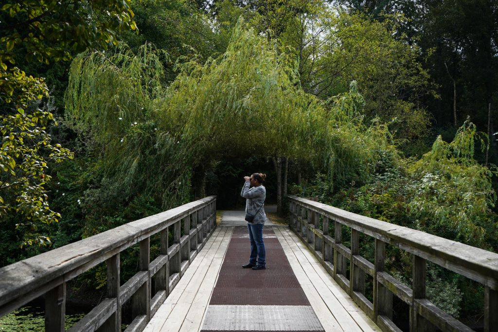 Person birding from a flat, accessible boardwalk.