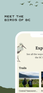 The BC Bird Trail Mobile Experience - Look Up, Stay Grounded