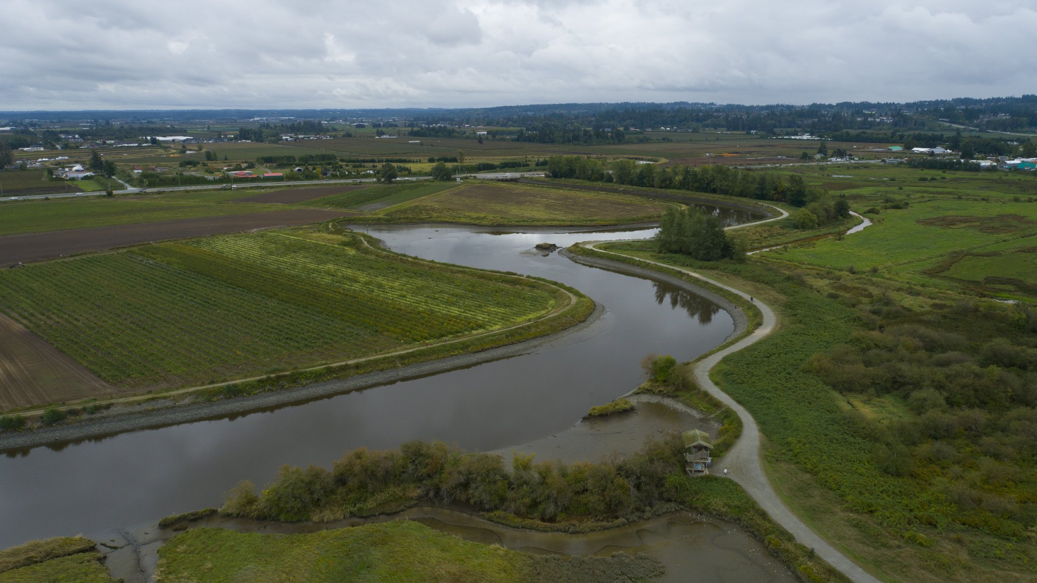 Birding Hotspots in Vancouver and the Lower Mainland - The BC Bird Trail